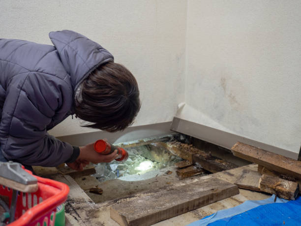 Best Air Quality Testing for Mold Spores  in Brookings, OR